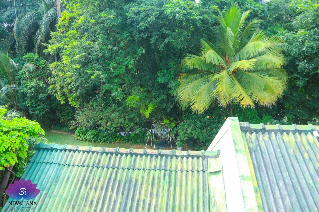 Nivahana Homestay キャンディー エクステリア 写真
